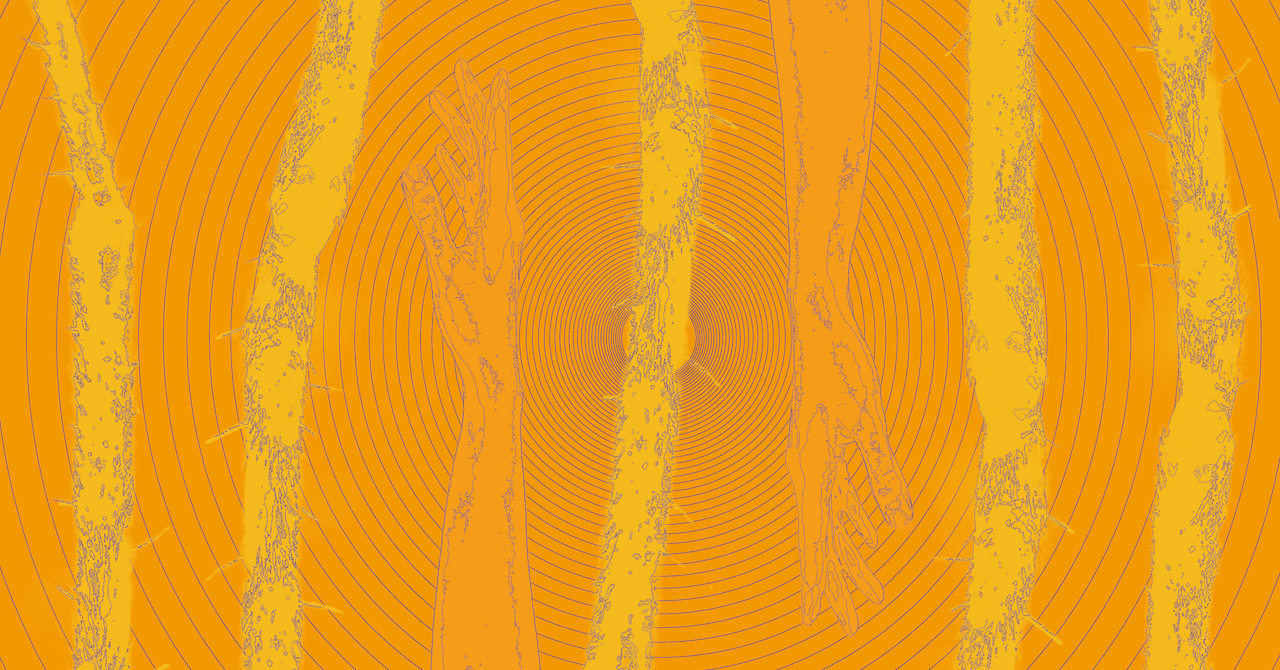 難波優輝「久しぶりにおばに会ったら脚が八本になっていた話」